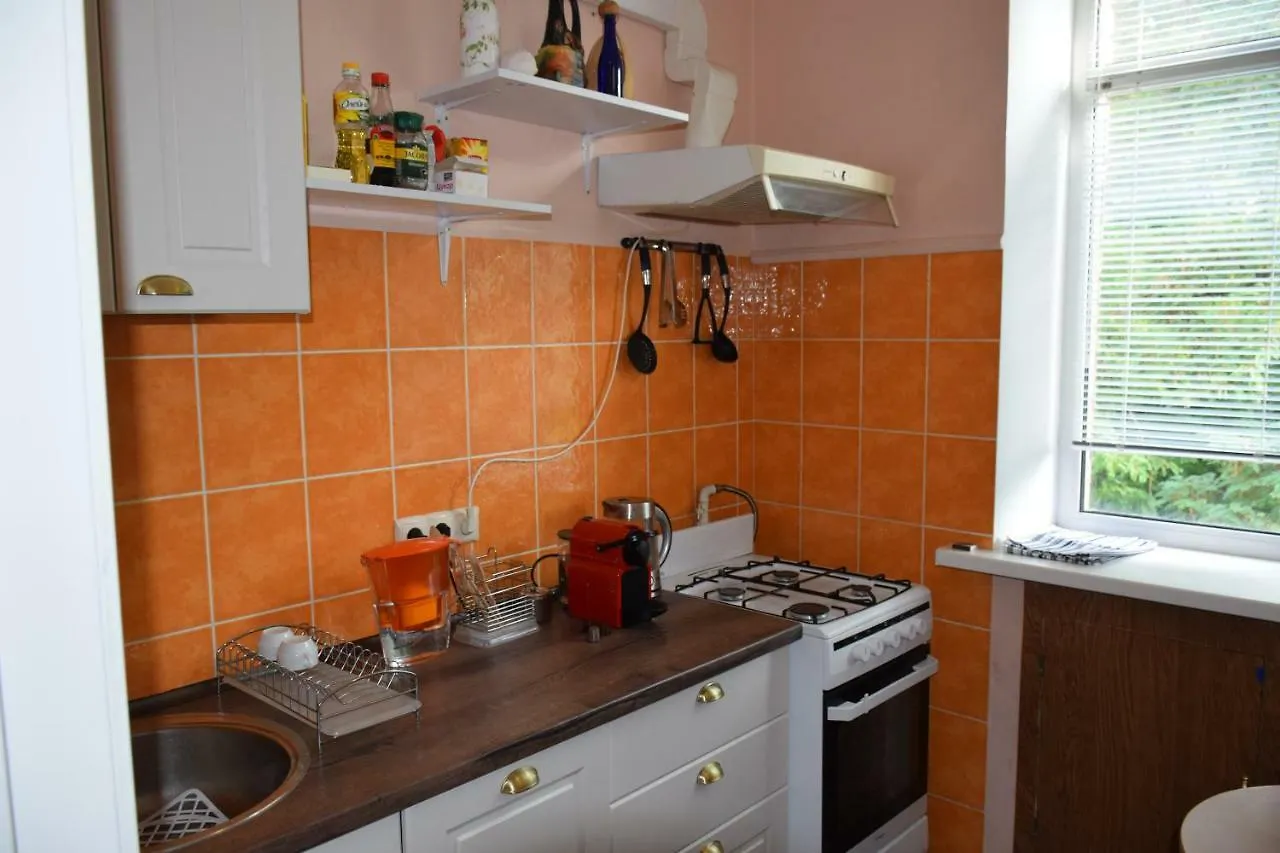 Kyiv Top Location 60M2 Apt In Old City Fast Wifi Selfchekin Daire